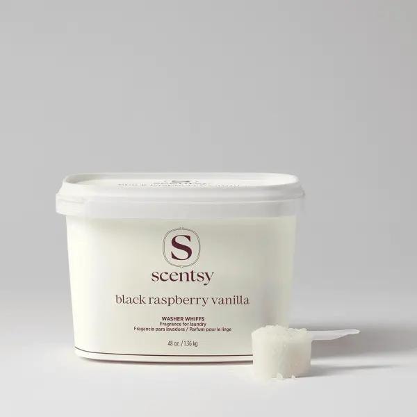 Black Raspberry Vanilla Washer Whiffs Tub